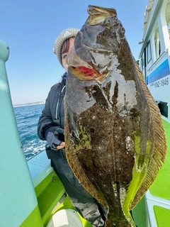 ヒラメの釣果