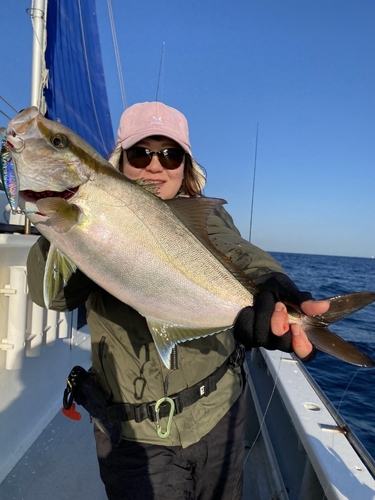 ショゴの釣果