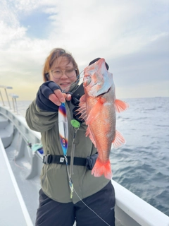 アカムツの釣果