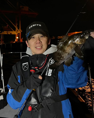 クロメバルの釣果