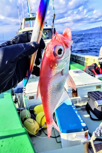 キンメダイの釣果