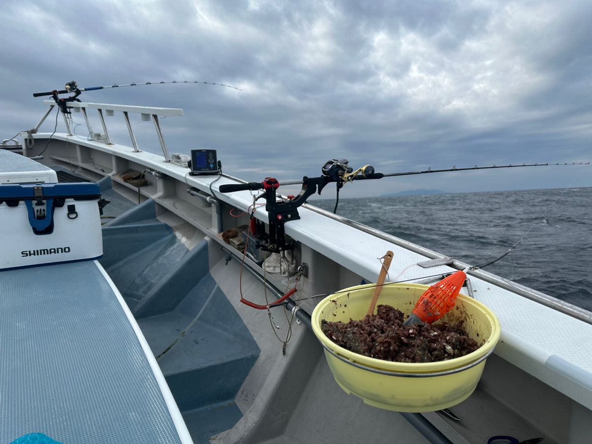 釣りキッチさんの釣果 2枚目の画像