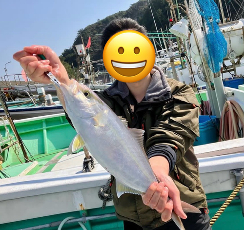 カンパチの釣果