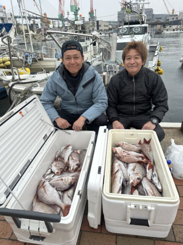 マダイの釣果