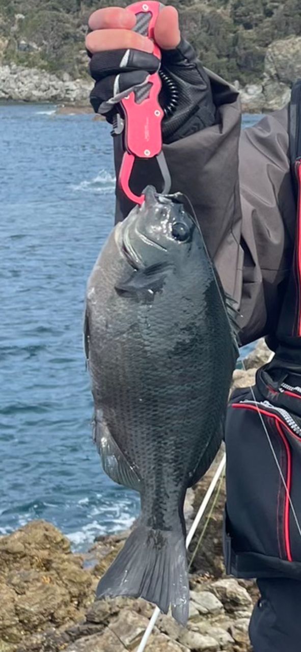 高校生アングラー hatamuzuさんの釣果 1枚目の画像