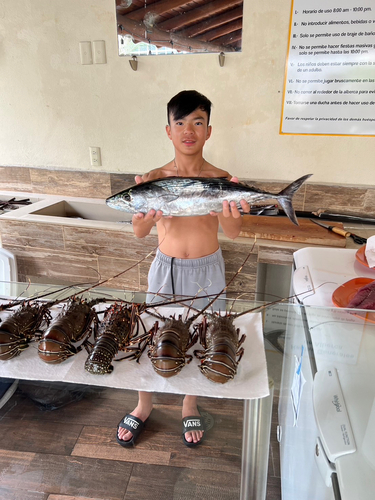 イソマグロの釣果