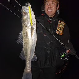 ひきちゃん(引田有治)の釣果