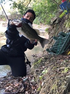 ブラックバスの釣果