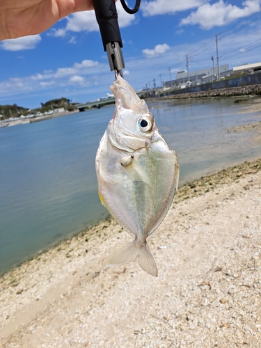 釣果