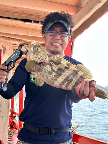 チャイロマルハタの釣果