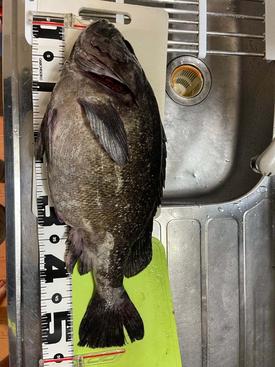 ツインスナイパーさんの釣果 2枚目の画像