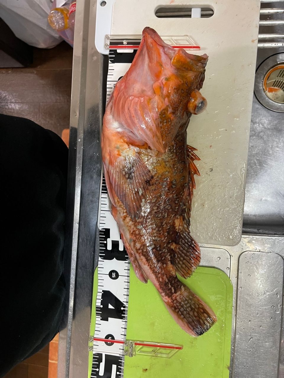 ツインスナイパーさんの釣果 3枚目の画像