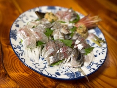 カマスの釣果