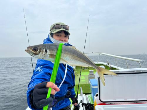 マアジの釣果