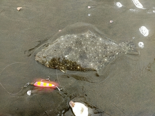 南浜海岸