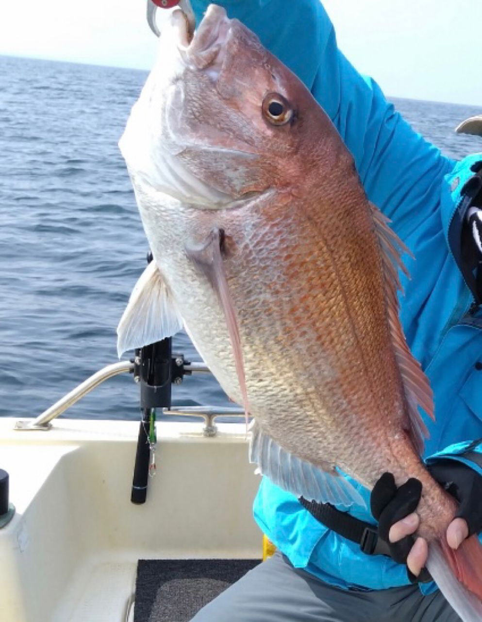 げちさんの釣果 1枚目の画像