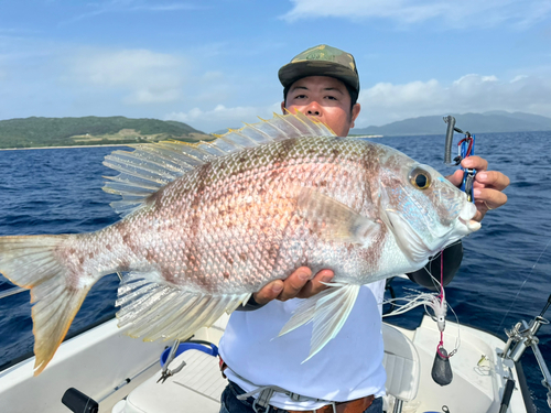 サザナミダイの釣果