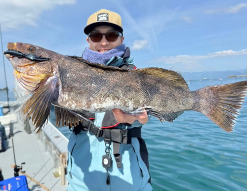 アイナメの釣果