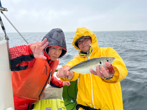 マアジの釣果