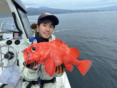 ホウズキの釣果