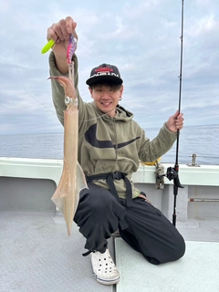 ヤリイカの釣果