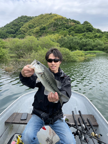 ブラックバスの釣果