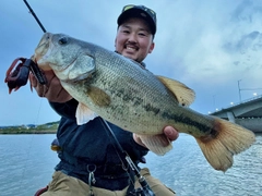 ブラックバスの釣果