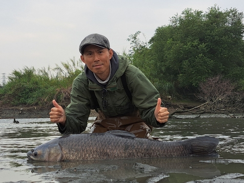 アオウオの釣果