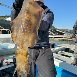 浜Dの釣果