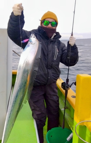 タチウオの釣果