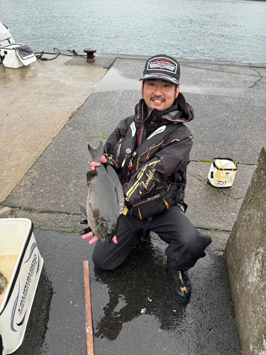 クチブトグレの釣果