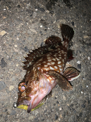 東京湾（アクアライン〜富津）