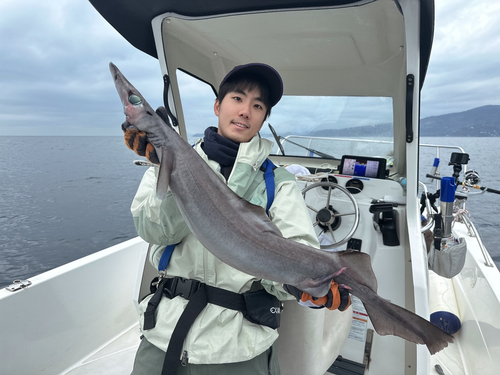 ヘラツノザメの釣果