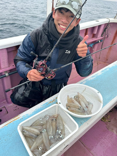 マルイカの釣果