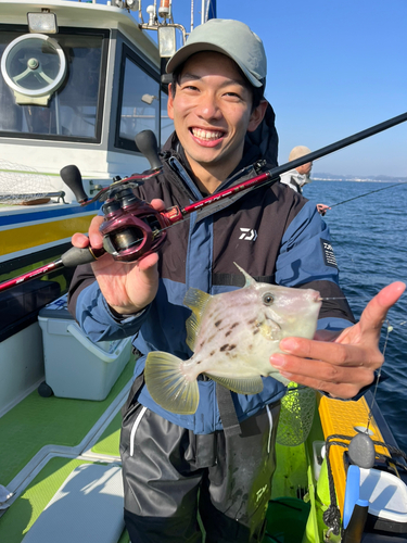 カワハギの釣果