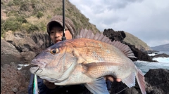 タイの釣果