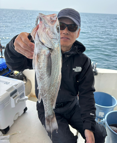 クログチの釣果