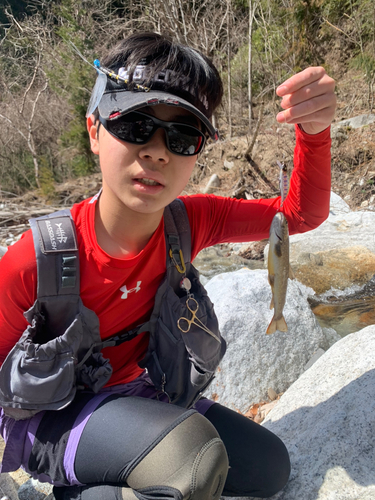 ニッコウイワナの釣果