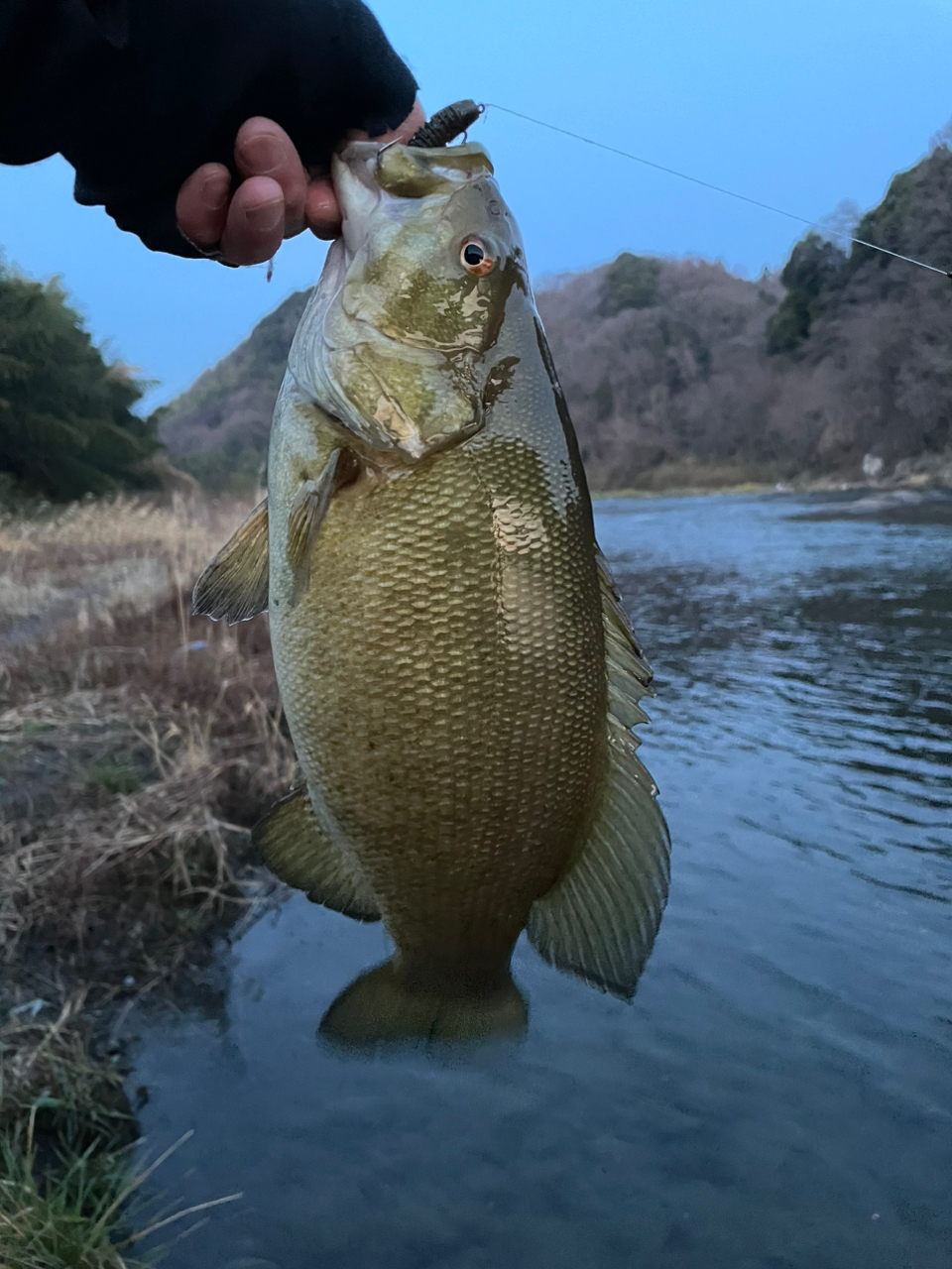 スモールマウスバス