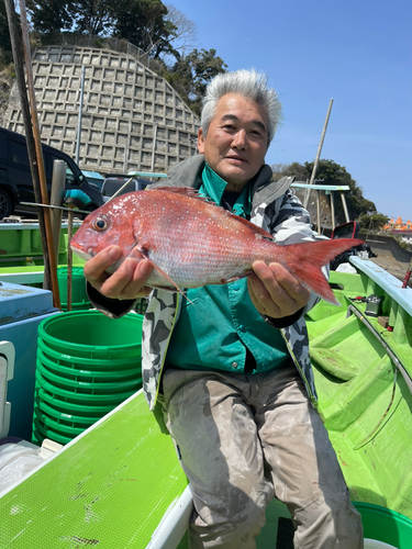 マダイの釣果