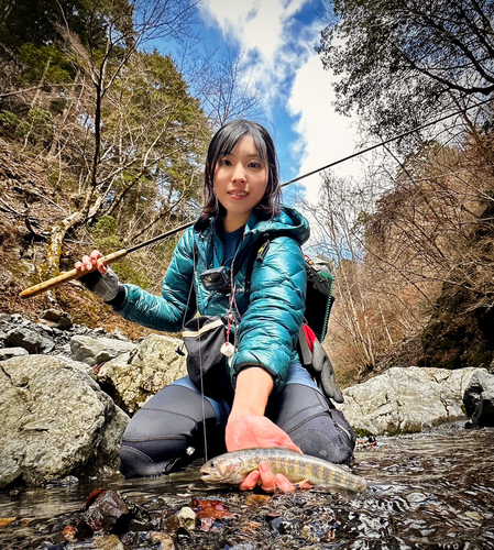 ニッコウイワナの釣果