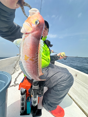 アマダイの釣果