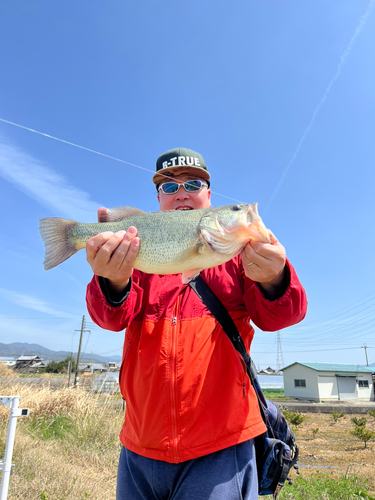 ニゴイの釣果