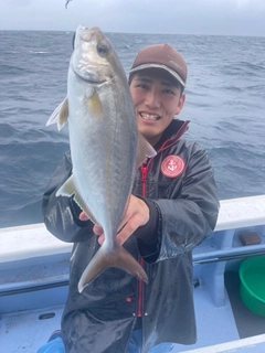 ショゴの釣果