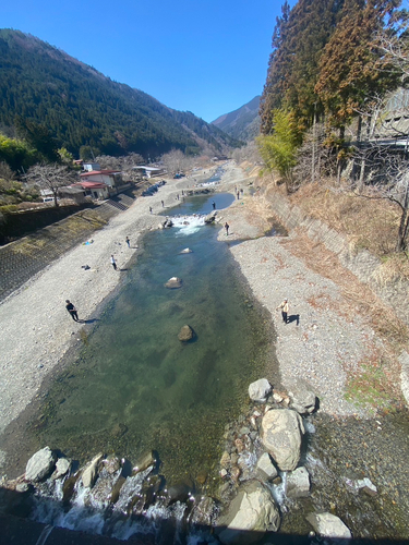 トラウトの釣果