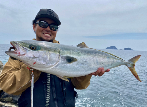 ハマチの釣果