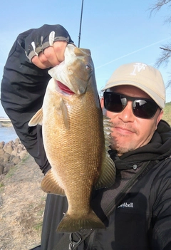 スモールマウスバスの釣果