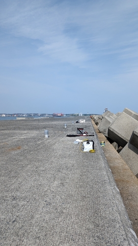 イセエビの釣果