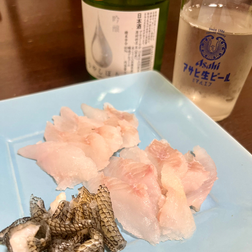 ムラソイの釣果