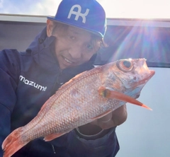 アカムツの釣果